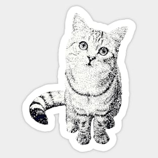 Cats Print Sticker